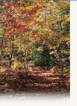 Ridgeview Gardens Homeowners Association